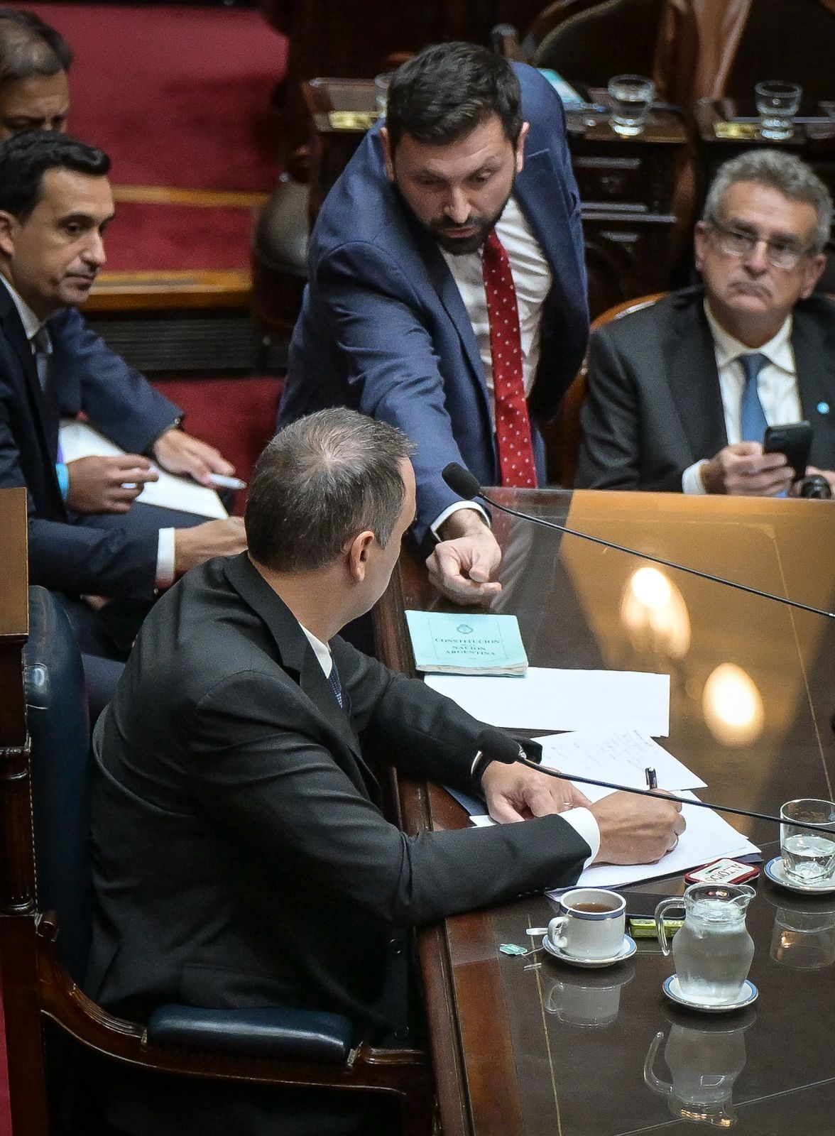 Pablo Juliano en el Congreso de la Nación